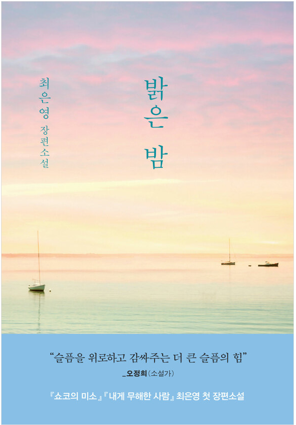 [2022 한책 후보도서]밝은 밤 : 최은영 첫 장편소설 표지